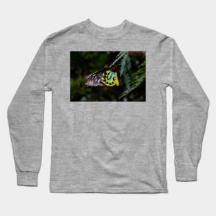 Cairns Birdwing Butterfly Long Sleeve T-Shirt